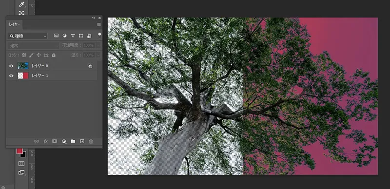 【Photoshop】樹木ありの青空を綺麗に除去する方法 完成後検証