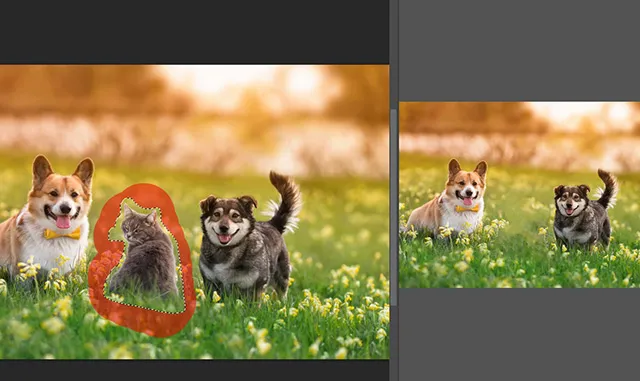 【Photoshop】画像の一部の不要な部分を除去する方法(コンテンツに応じた塗りつぶし) プレビュー画面